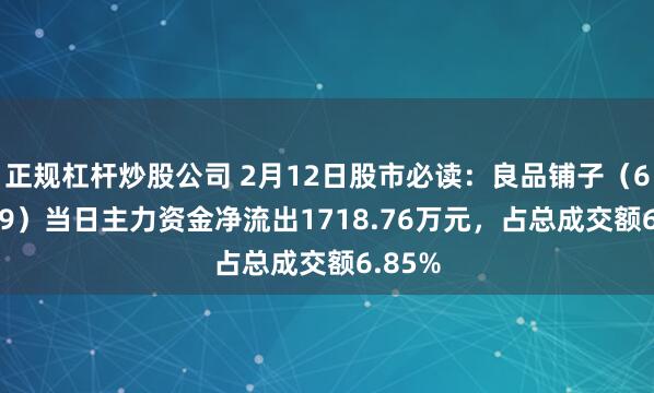 正规杠杆炒股公司 2月12日股市必读：良品铺子（603719）当日主力资金净流出1718.76万元，占总成交额6.85%