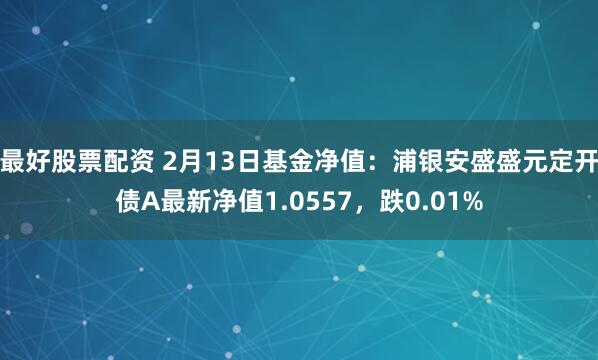 最好股票配资 2月13日基金净值：浦银安盛盛元定开债A最新净值1.0557，跌0.01%
