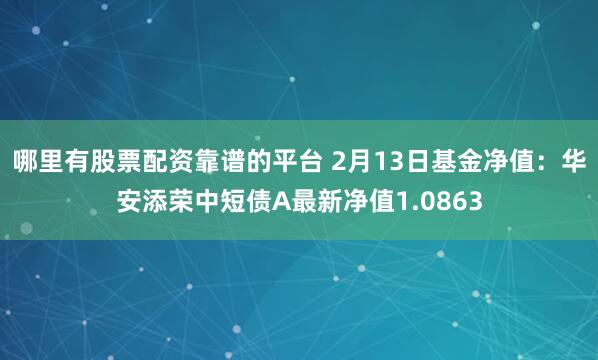 哪里有股票配资靠谱的平台 2月13日基金净值：华安添荣中短债A最新净值1.0863