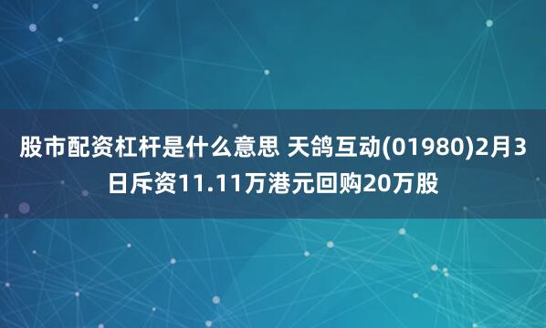 股市配资杠杆是什么意思 天鸽互动(01980)2月3日斥资11.11万港元回购20万股