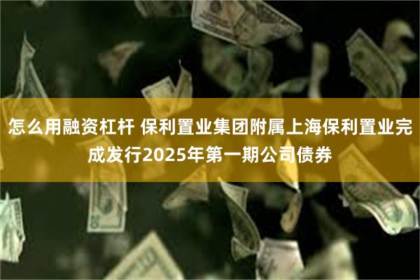 怎么用融资杠杆 保利置业集团附属上海保利置业完成发行2025年第一期公司债券