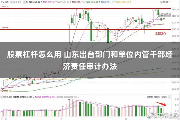 股票杠杆怎么用 山东出台部门和单位内管干部经济责任审计办法