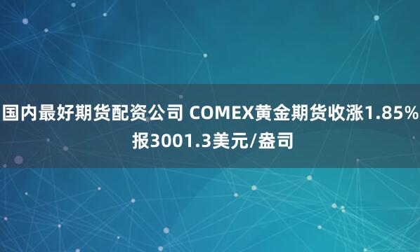 国内最好期货配资公司 COMEX黄金期货收涨1.85% 报3001.3美元/盎司