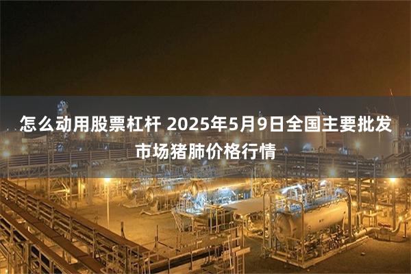 怎么动用股票杠杆 2025年5月9日全国主要批发市场猪肺价格行情