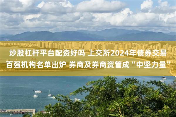 炒股杠杆平台配资好吗 上交所2024年债券交易百强机构名单出炉 券商及券商资管成“中坚力量”