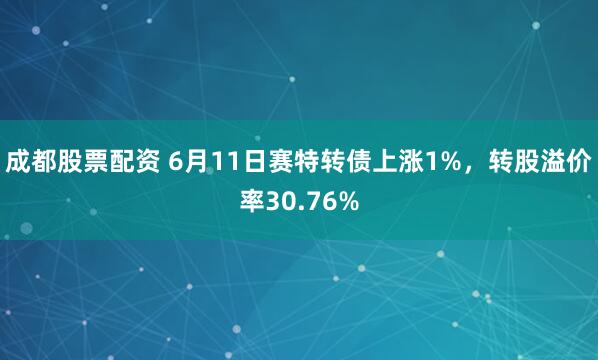 成都股票配资 6月11日赛特转债上涨1%，转股溢价率30.76%