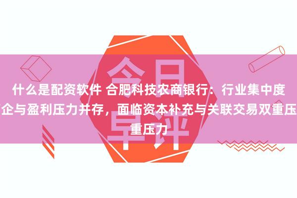 什么是配资软件 合肥科技农商银行：行业集中度高企与盈利压力并存，面临资本补充与关联交易双重压力