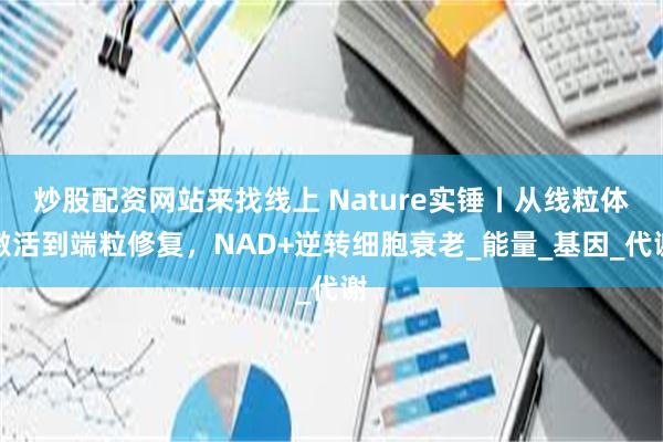 炒股配资网站来找线上 Nature实锤丨从线粒体激活到端粒修复，NAD+逆转细胞衰老_能量_基因_代谢