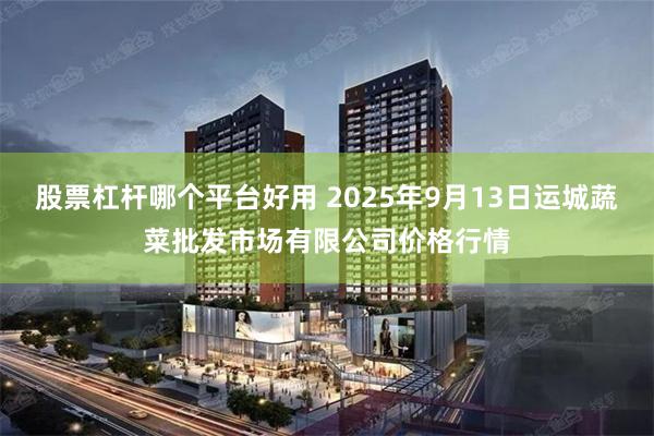 股票杠杆哪个平台好用 2025年9月13日运城蔬菜批发市场有限公司价格行情