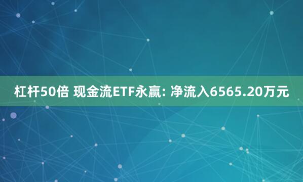 杠杆50倍 现金流ETF永赢: 净流入6565.20万元